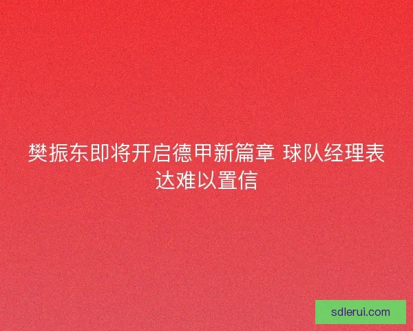 樊振东即将开启德甲新篇章 球队经理表达难以置信
