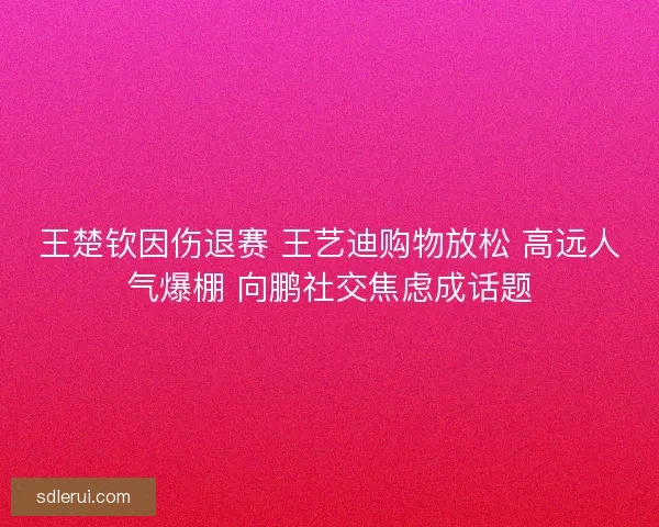 王楚钦因伤退赛 王艺迪购物放松 高远人气爆棚 向鹏社交焦虑成话题